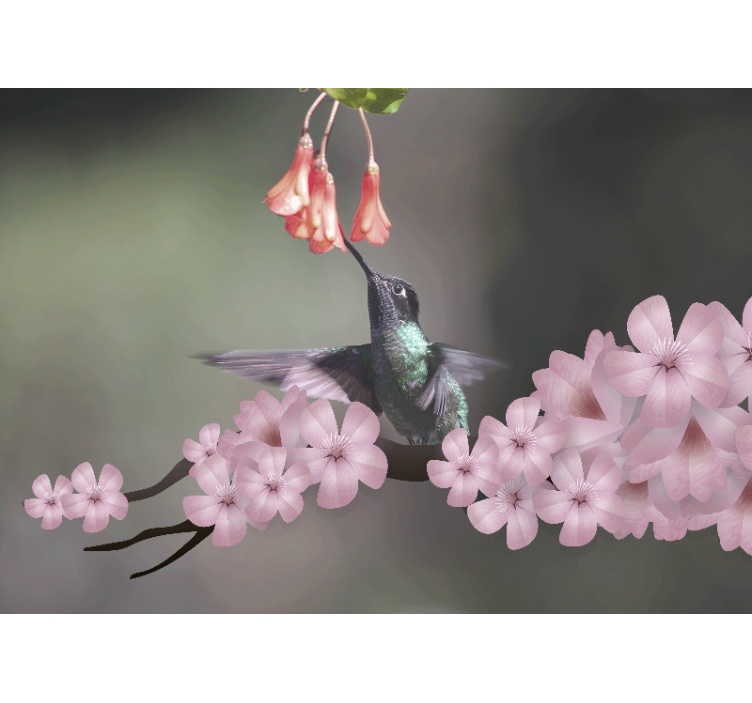 Animals wall mural hummingbird and blooms - TenStickers