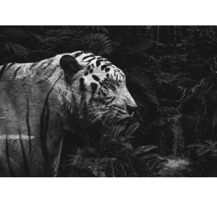 Majestic White Tiger animals wall mural - TenStickers