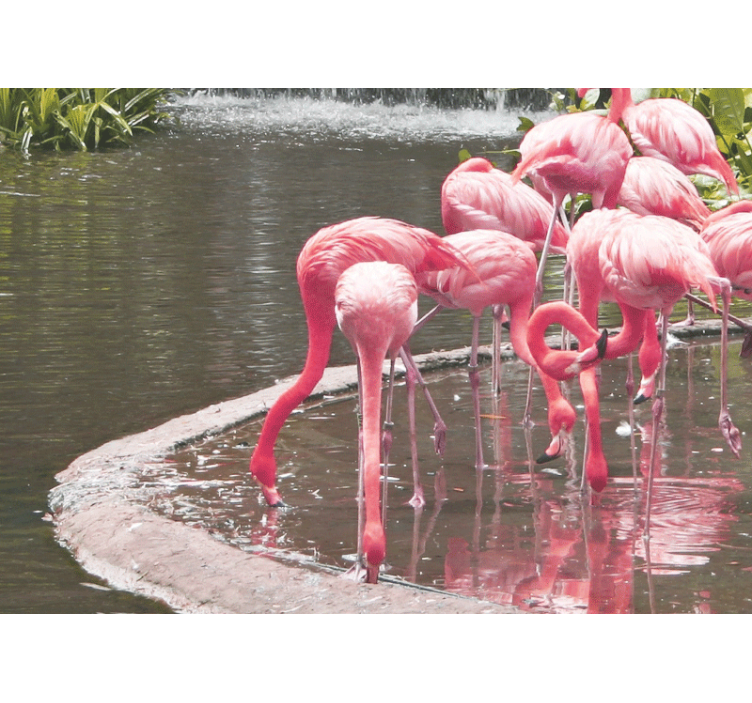 Animals wall mural flamingo gathering - TenStickers