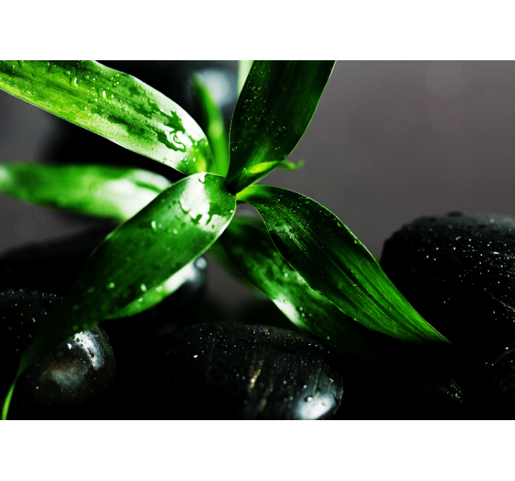 Wall mural nature fresh leaves design - TenStickers