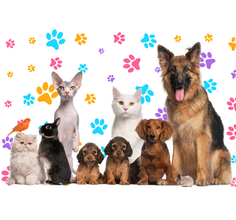 Animals wall mural happy pet friends - TenStickers