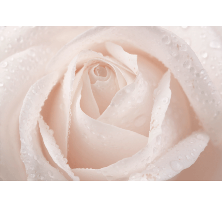 Delicate White Blossom wall mural roses - TenStickers