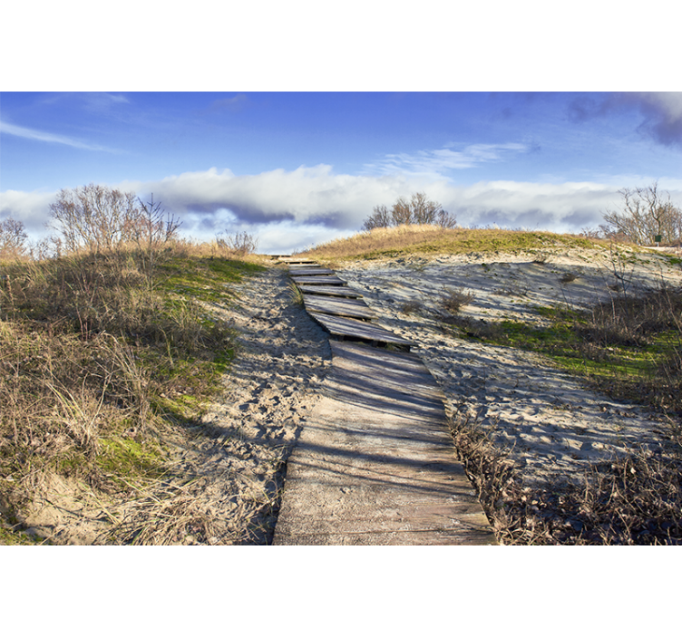 Landscape wall mural wooden pathway scene - TenStickers