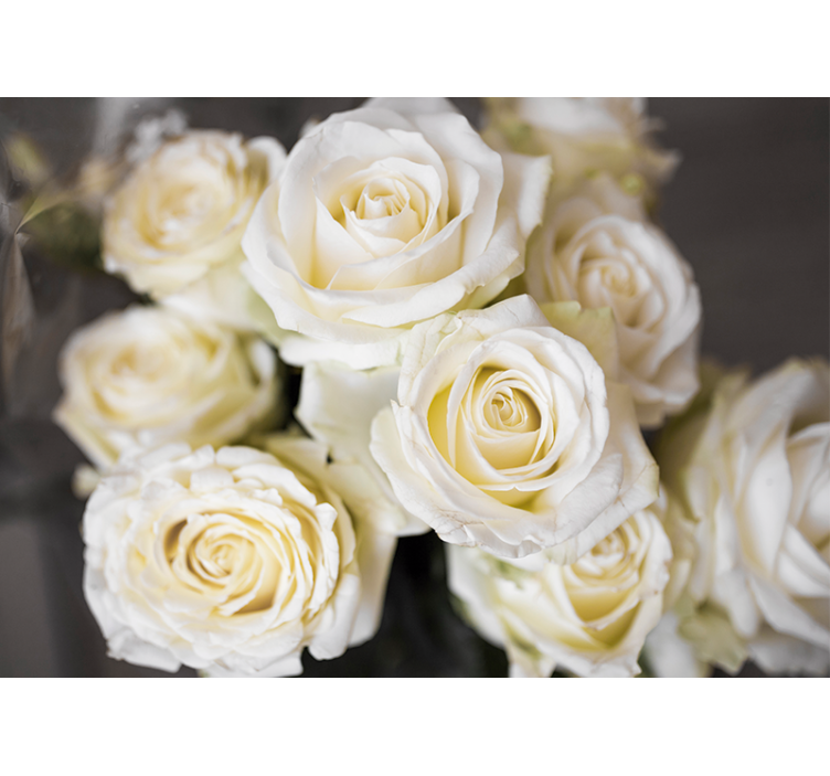 Flower wall mural elegant white roses - TenStickers