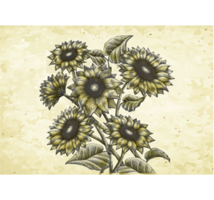 Vintage green sunflowers wall mural - TenStickers