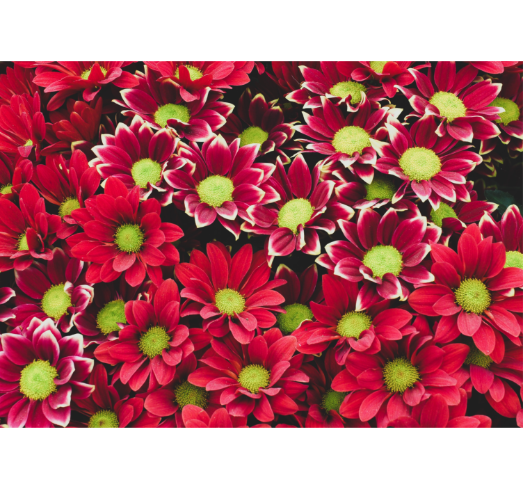 Flower wall mural crimson blossom arrangement - TenStickers