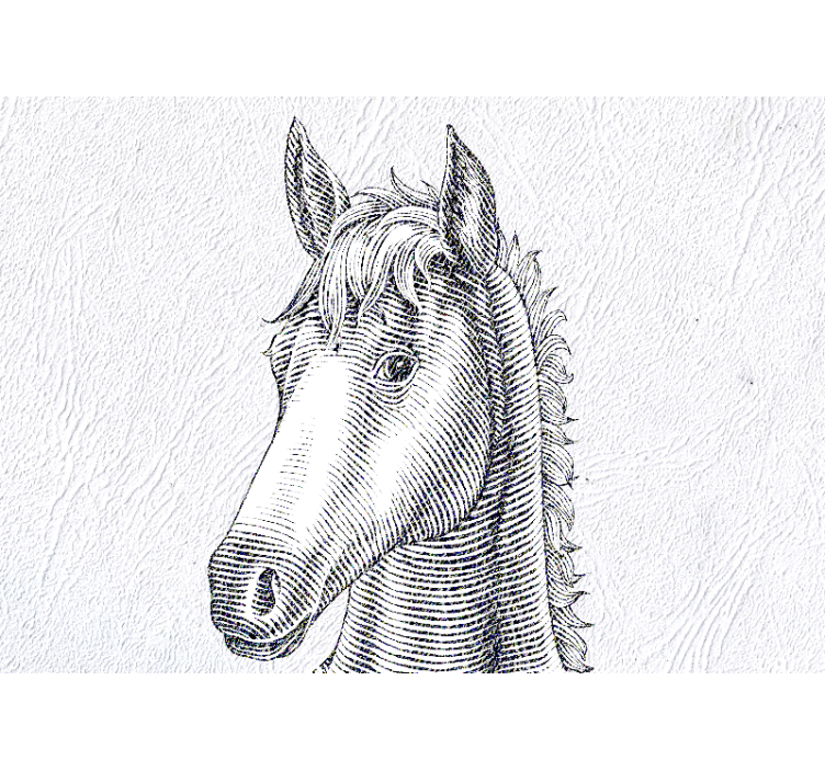 Animals wall mural elegant horse portrait - TenStickers