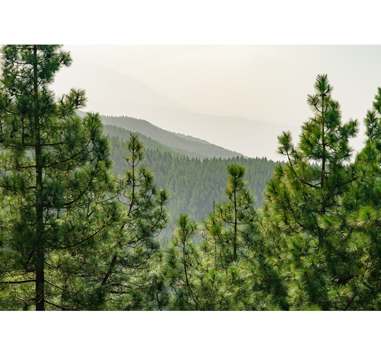 Wall mural nature lush green landscape - TenStickers