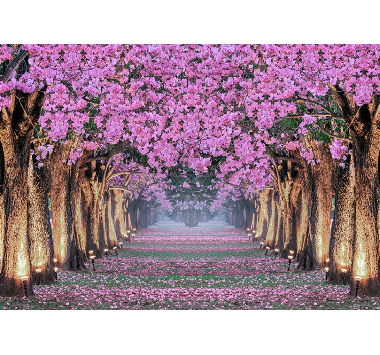 Flower wall mural cherry blossom path - TenStickers