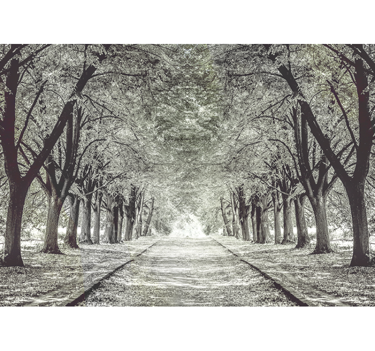 Serene Tree Path wall mural nature - TenStickers