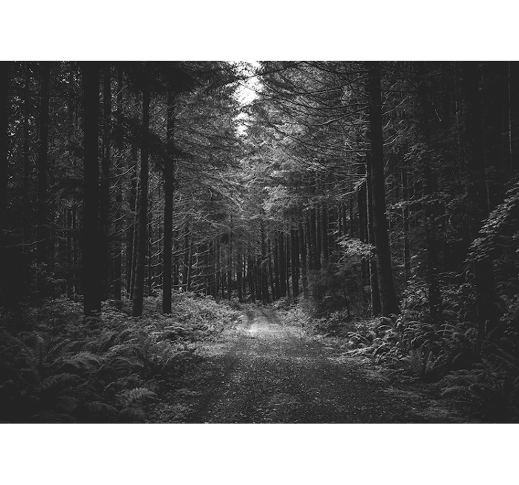 Serene forest path forest wall mural - TenStickers