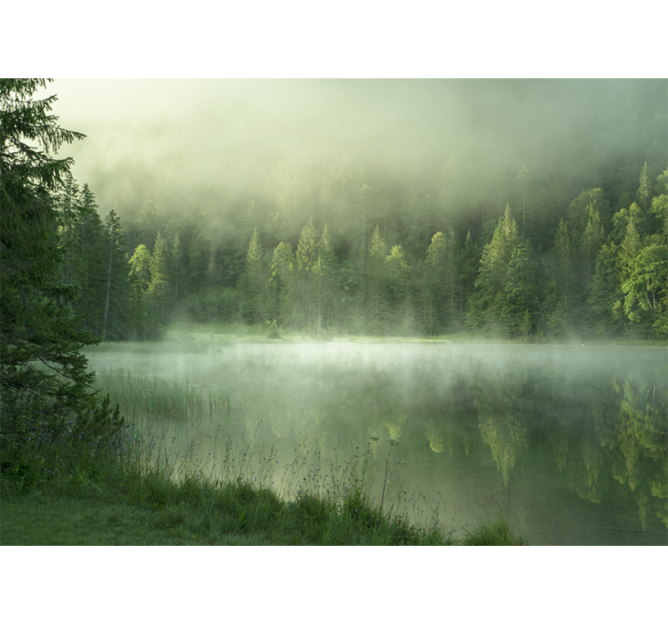Wall mural nature misty lake reflection - TenStickers