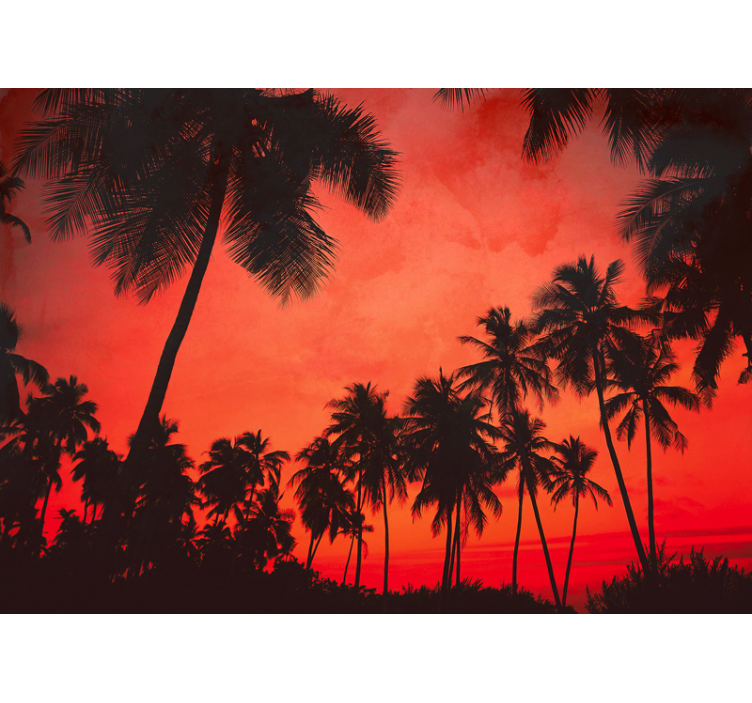 Photography of palm trees  mural - TenStickers