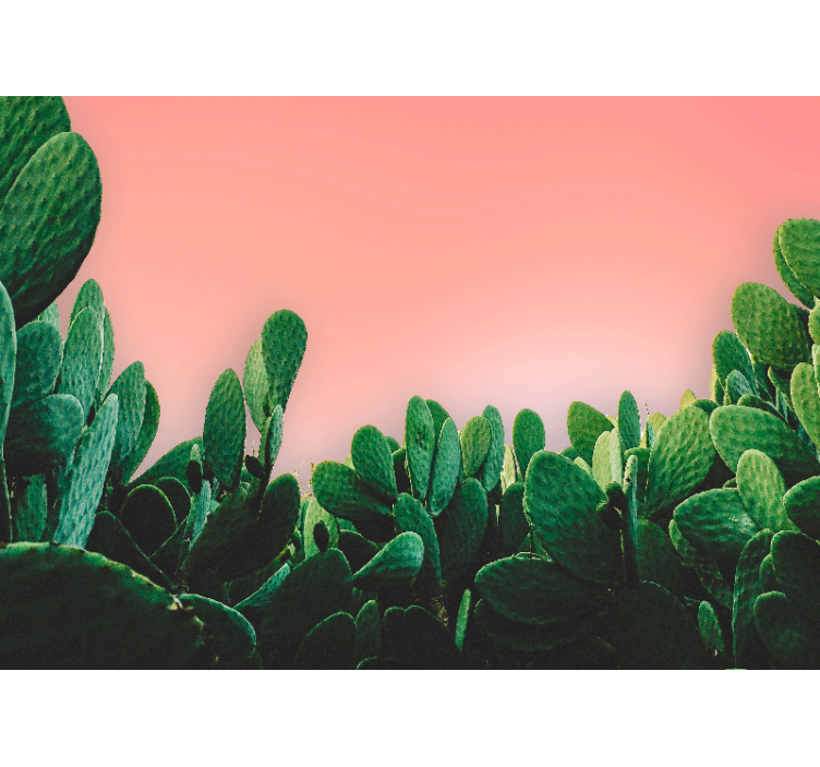 Wall mural nature cactus landscape - TenStickers