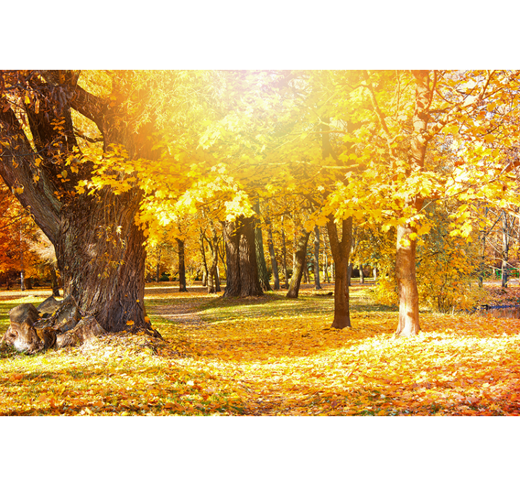 Wall mural nature autumn trees scene - TenStickers
