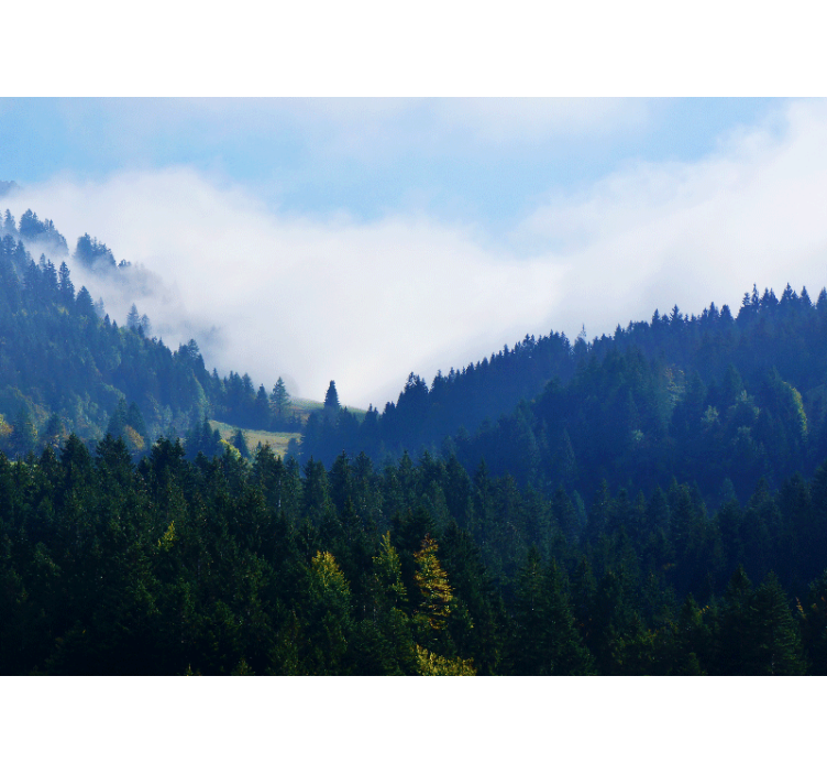 Wall mural nature mountains and fog scene - TenStickers