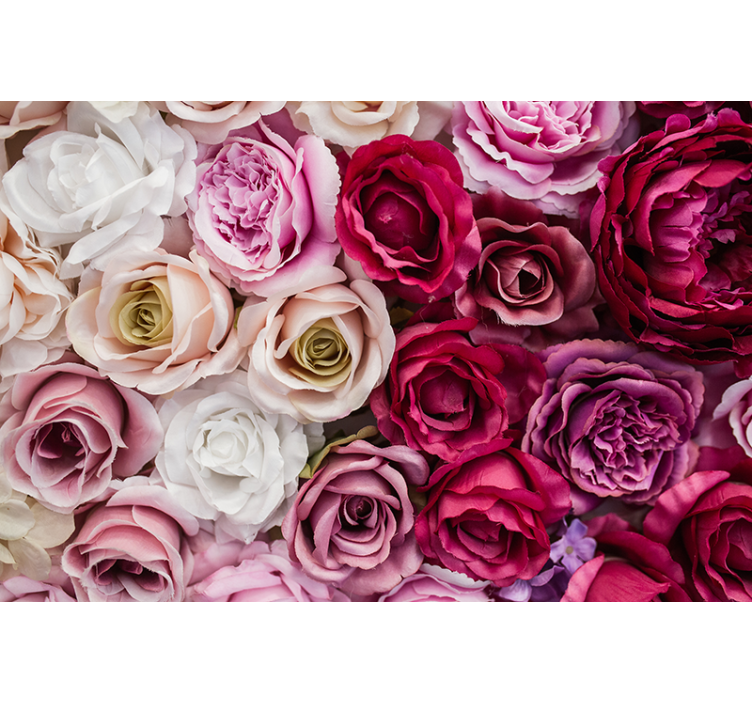 Flower wall mural beautiful rose collection - TenStickers