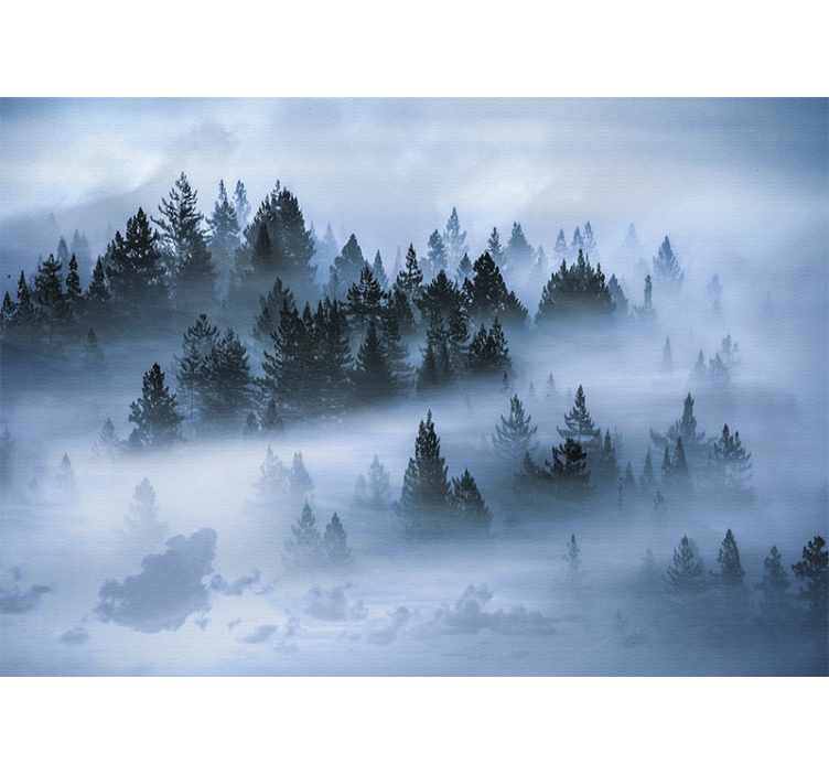 Wall mural nature hazy evergreen woods - TenStickers