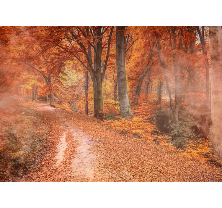 Wall mural nature autumn trail path - TenStickers
