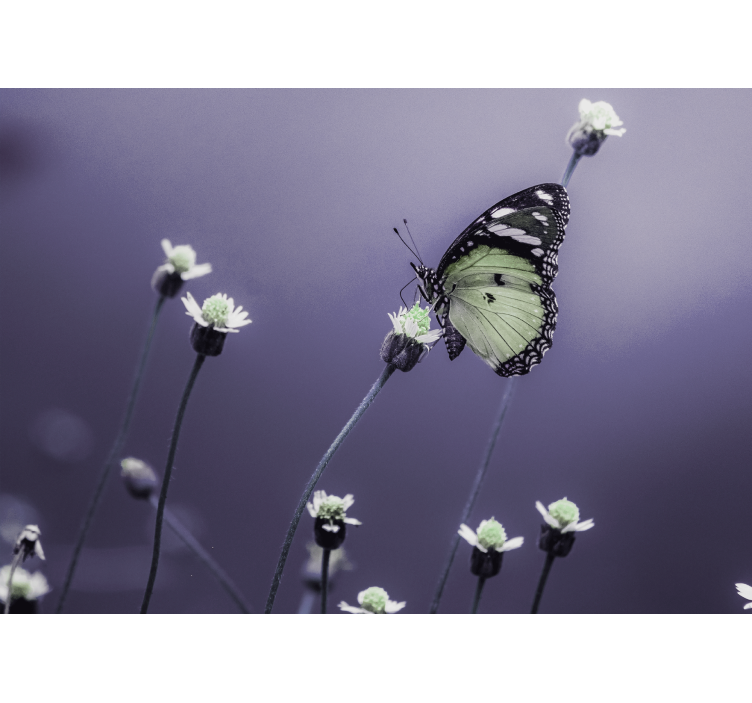 Flower wall mural butterfly on flowers - TenStickers