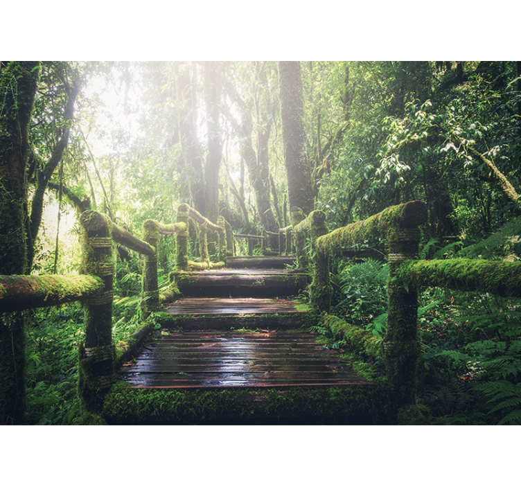 Wall mural nature lush woodland path - TenStickers