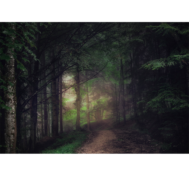 Forest wall mural serene forest pathway - TenStickers