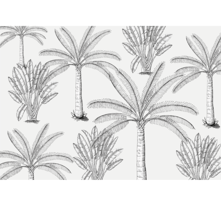 Wall mural trees palm tree illustrations - TenStickers