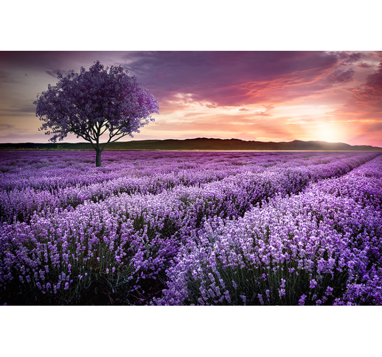Flower wall mural lavender meadow twilight - TenStickers