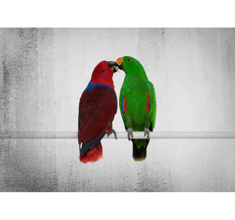 Animals wall mural colorful parrots interaction - TenStickers