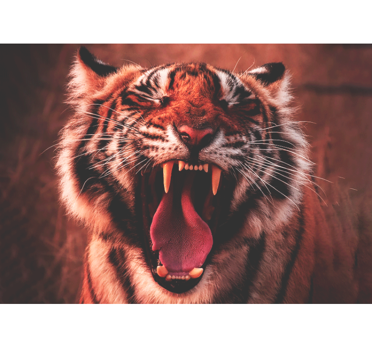 Animals wall mural majestic tiger roar - TenStickers