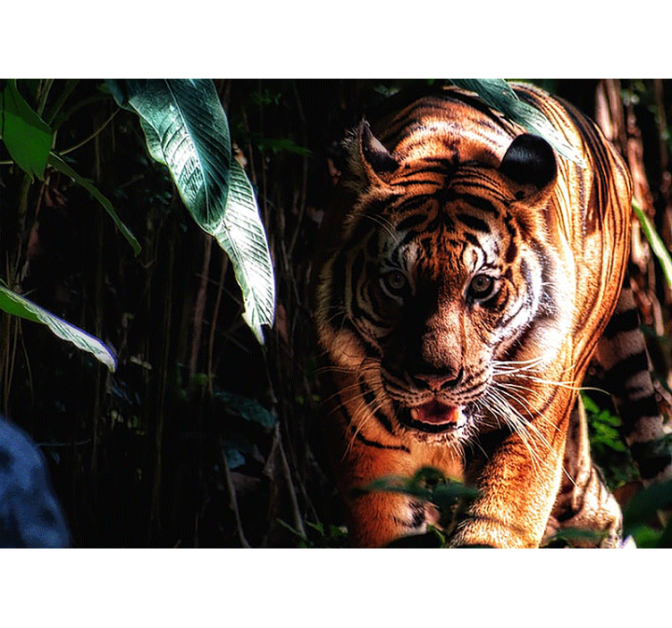 Animals wall mural majestic tiger stalking - TenStickers
