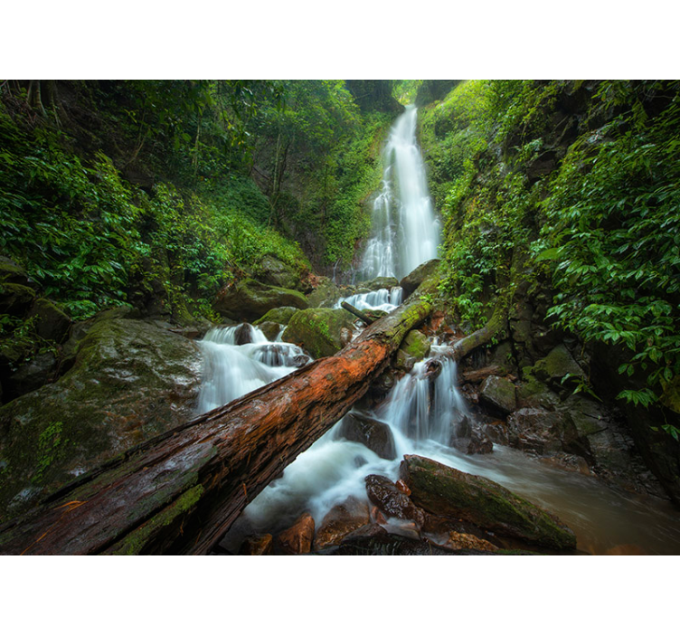 Serene Waterfall Cascade wall mural waterfall - TenStickers