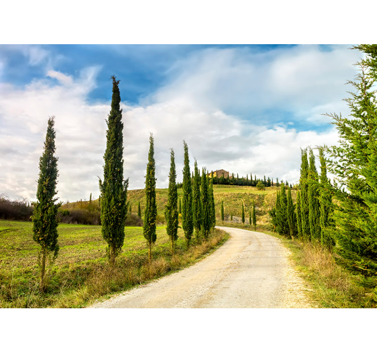 Tuscan Countryside Vista wall mural nature - TenStickers