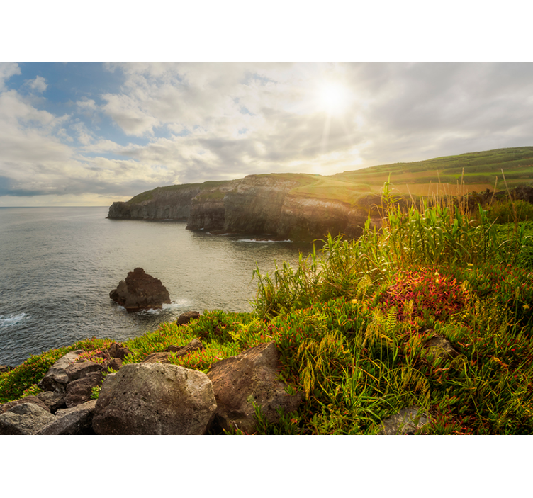 Coastal Cliffs Vista landscape wall mural - TenStickers