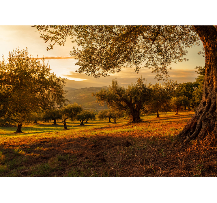 Mediterranean Grove landscape wall mural - TenStickers