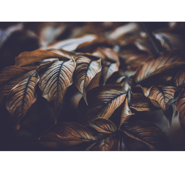 Golden Leaves nature wall mural - TenStickers