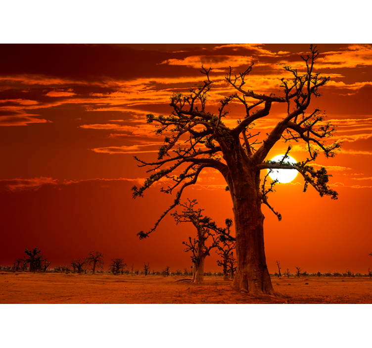 African sunset landscape wall mural - TenStickers