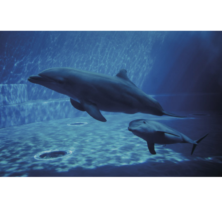 Dolphins Swimming Together animals wall mural - TenStickers