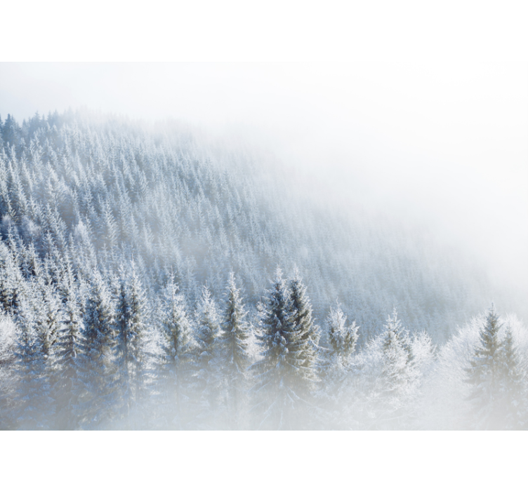 Forest wall mural majestic winter woods - TenStickers