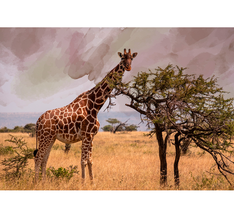 Giraffe in Nature animals wall mural - TenStickers