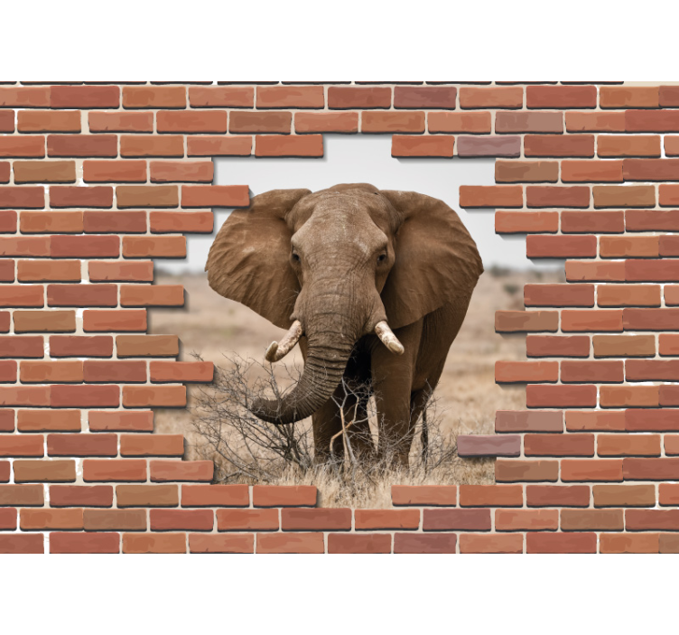 Majestic Elephant Focus animals wall mural - TenStickers