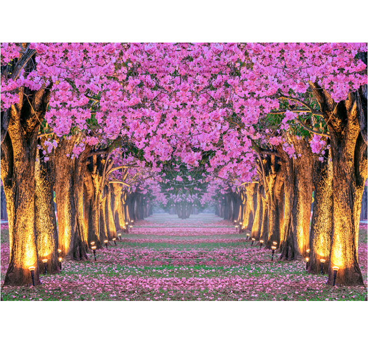 Flower wall mural blossoming pink path - TenStickers