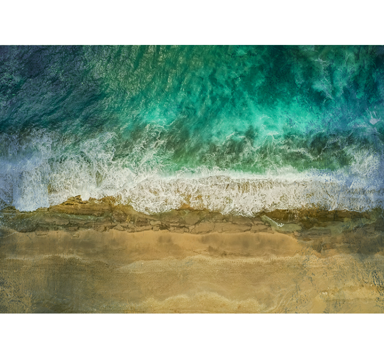 Wall mural nature coastal plant showcase - TenStickers