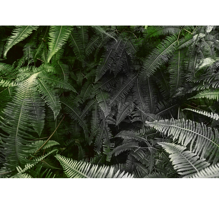 Lush Greenery wall mural nature - TenStickers