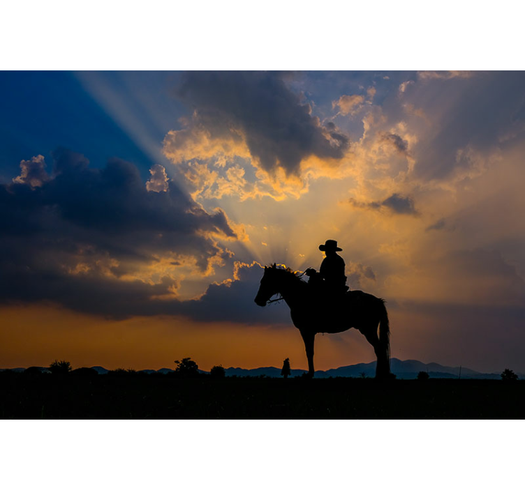 Animals wall mural rider on steed - TenStickers