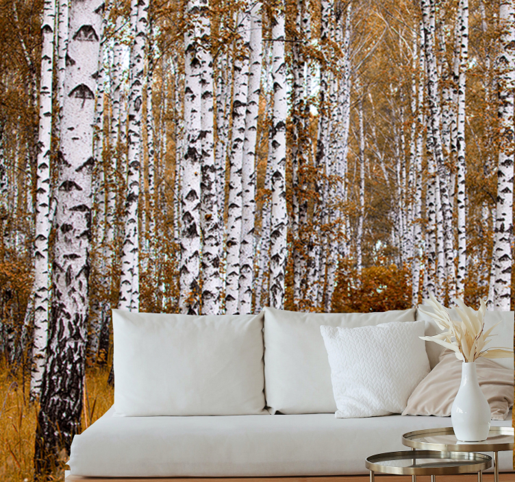 birch trees Forest Wall Mural - TenStickers