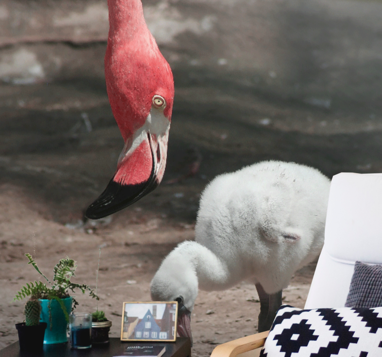 Animals wall mural flamingo chick - TenStickers