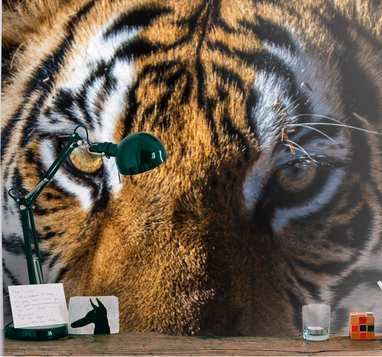 Animals wall mural magnificent tiger close-up - TenStickers
