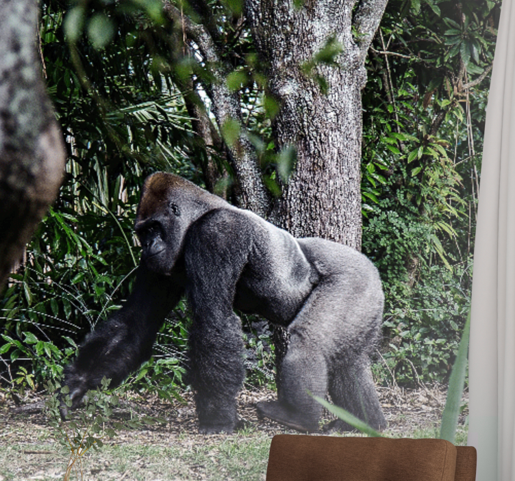 Animals wall mural majestic gorilla strolling - TenStickers