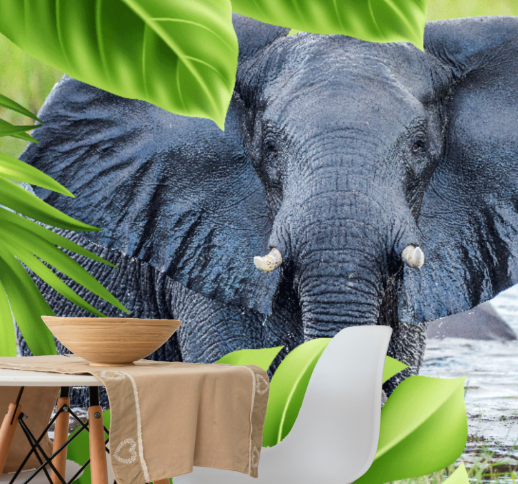 Animals wall mural regal elephant experience - TenStickers